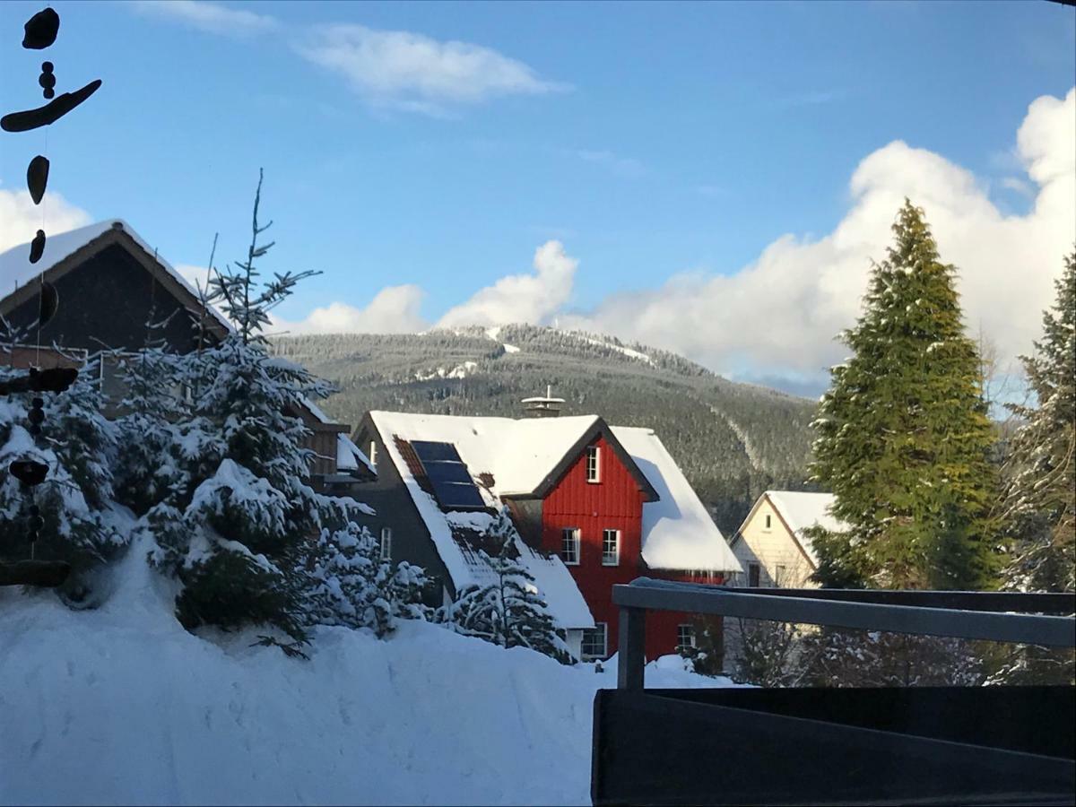 Moderne, Ruhige Ferienwohnung In Braunlage Harz Inkl Wlan & Netflix Buitenkant foto